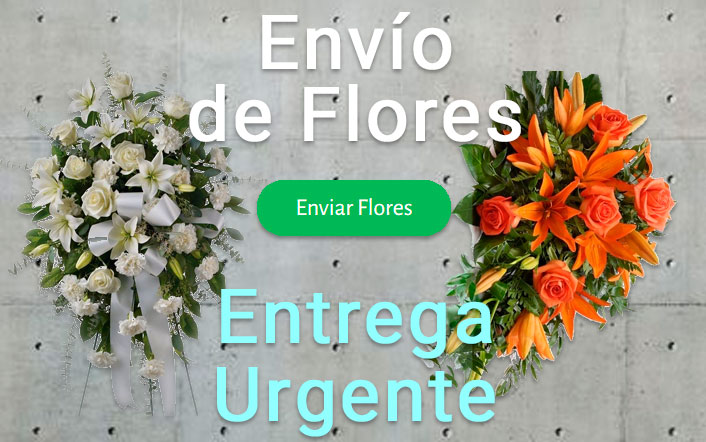 Envío de flores urgente a Tanatorio Pinto